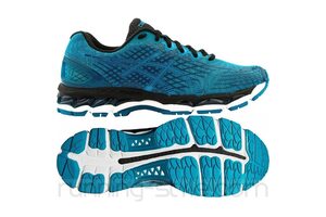 Беговые кроссовки Asics T51NQ GEL-NIMBUS 17 LITE-SHOW (3939)
