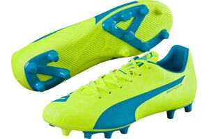 Футбольные бутсы Puma Evospeed 5.4 FG 103286-04