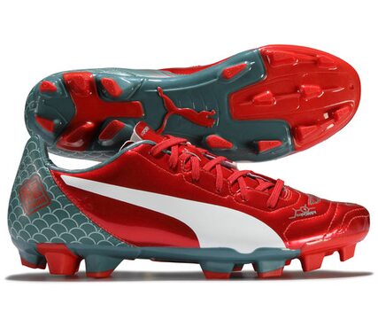 Футбольные бутсы Puma evoPOWER 4.2 GRAPHIC FG 103431-01