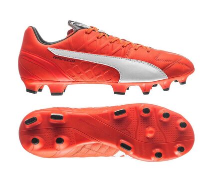 Футбольные бутсы Puma Evospeed 3.4 FG Lth 103267-01