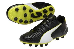 Футбольные бутсы Puma Universal II FG 103157-03