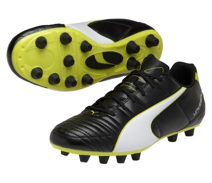 Футбольные бутсы Puma Universal II FG 103157-03