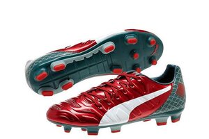 Футбольные бутсы Puma evoPOWER 3.2 Graphic FG 103429-01