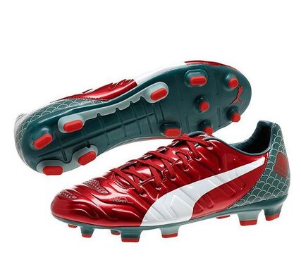 Футбольные бутсы Puma evoPOWER 3.2 Graphic FG 103429-01