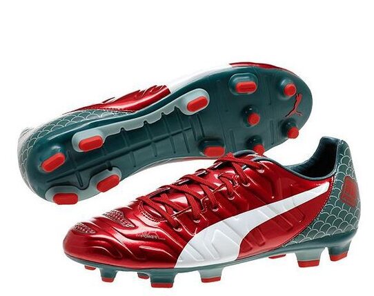 Купить Футбольные бутсы Puma evoPOWER 3.2 Graphic FG 103429-01 - оригинал, гарантия
