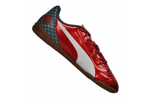 Футзалки Puma EvoPower 4.2 Graphic IT 103433-01