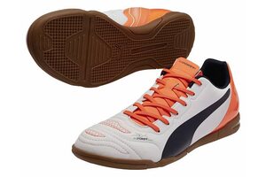 Футзалки Puma EvoPower 4.2 IT 103224-05