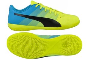 Футзалки Puma EvoPower 4.3 IT 103540-01