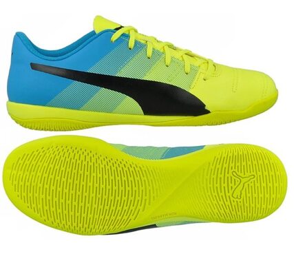 Футзалки Puma EvoPower 4.3 IT 103540-01