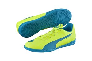 Футзалки Puma Evospeed 5.4 IT 103282-04