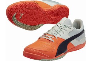 Футзалки Puma Gavetto Sala 103444-04