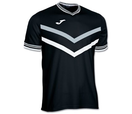 Игровая футболка Joma TERRA ІІ - 100065.102