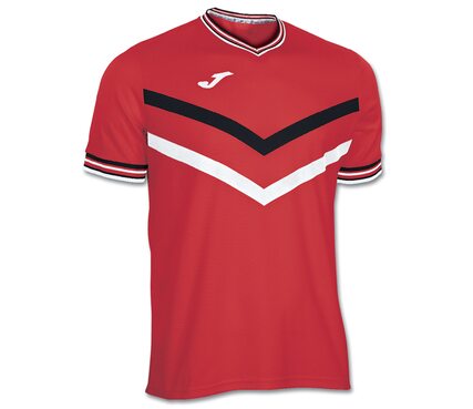 Игровая футболка Joma TERRA ІІ - 100065.600