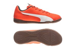Футзалки Puma Evospeed 5.4 IT 103282-01