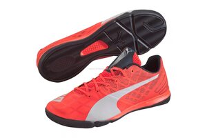 Футзалки Puma Evospeed Sala 3.4 103238-02