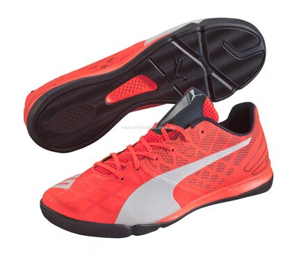 Футзалки Puma Evospeed Sala 3.4 103238-02