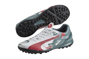 Сороконожки Puma Evospeed 4.3 Graphic TT 103311-01