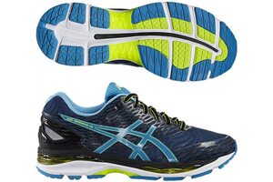 Беговые кроссовки Asics GEL-NIMBUS 18 T600N (5843)