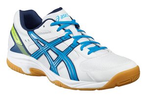 Волейбольные кроссовки Asics GEL-VISIONCOURT B40NQ (0143)