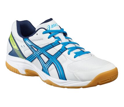 Волейбольные кроссовки Asics GEL-VISIONCOURT B40NQ (0143)