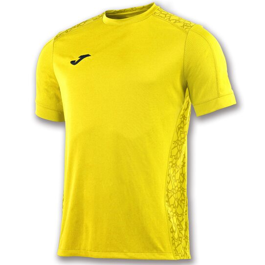 Купить Футболка игровая Joma DINAMO II - 100734.900 - оригинал, гарантия