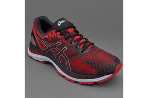 Кроссовки беговые Asics GEL-NIMBUS 19 T700N (9023)