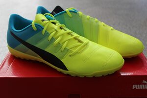 Сороконожки Puma evoPOWER 4.3 TT 103539-01