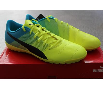 Сороконожки Puma evoPOWER 4.3 TT 103539-01