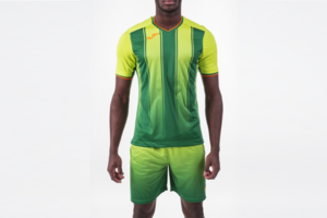 Форма игровая Joma PRO LIGA SET - 100678.413