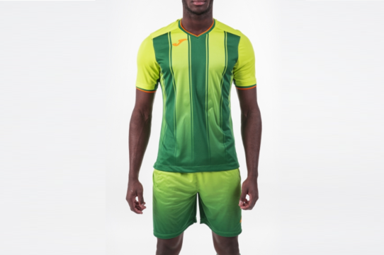Купить Форма игровая Joma PRO LIGA SET - 100678.413 - оригинал, гарантия