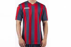 Футболка игровая Joma Copa 100001.603 Футболка игровая Joma Copa 100001.603