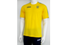 Купить Футболка сборной Украины (Хлопок) Joma UKRAINE - FFU201021.17 - оригинал, гарантия
