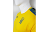 Купить Футболка сборной Украины (Хлопок) Joma UKRAINE - FFU201021.17 - оригинал, гарантия