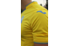 Купить Основная футболка сборной Украины Joma - FFU101011.18 - оригинал, гарантия Купить Основная футболка сборной Украины Joma - FFU101011.18 - оригинал, гарантия