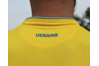 Купить Основная футболка сборной Украины Joma - FFU101011.18 - оригинал, гарантия Купить Основная футболка сборной Украины Joma - FFU101011.18 - оригинал, гарантия