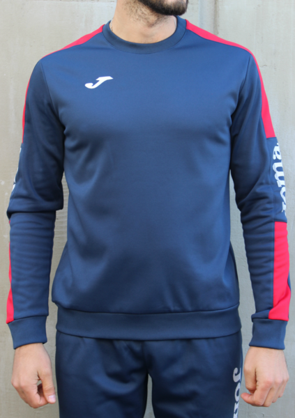 Купить Реглан Joma CHAMPION IV - 100801.306 - оригинал, гарантия Купить Реглан Joma CHAMPION IV - 100801.306 - оригинал, гарантия