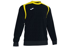 Реглан спортивный Joma CHAMPION V - 101266.109 Реглан спортивный Joma CHAMPION V - 101266.109