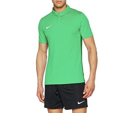 Спортивная футболка-поло Nike Dry Academy 18 Polo 899984-361