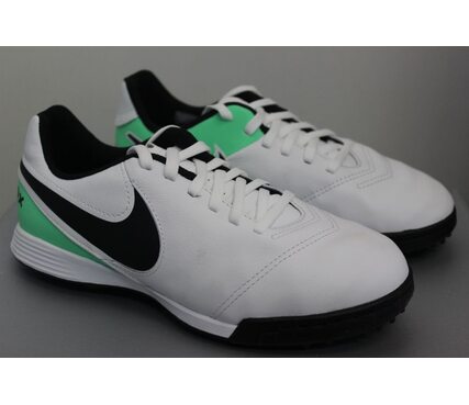 Дитячі шкіряні Сороконіжки Nike JR TiempoX Legend VI TF 819191-103