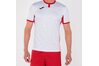 Купить Футболка игровая футбольная Joma Toletum II - 101476.206 - оригинал, гарантия Купить Футболка игровая футбольная Joma Toletum II - 101476.206 - оригинал, гарантия