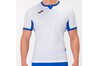 Купить Футболка игровая футбольная Joma Toletum II - 101476.207 - оригинал, гарантия Купить Футболка игровая футбольная Joma Toletum II - 101476.207 - оригинал, гарантия