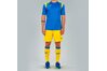 Купить Шорты футбольные Joma Nobel - 100053.900 - оригинал, гарантия