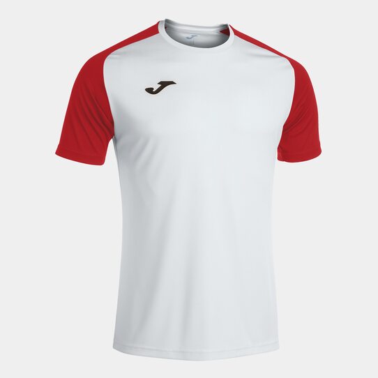 Форма футбольная (футболка) Joma ACADEMY IV  - 101968.206 - оригинал