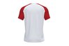 Форма футбольная (футболка) Joma ACADEMY IV  - 101968.206 - оригинал