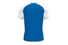 Форма футбольная (футболка) Joma ACADEMY IV - 101968.702 - оригинал Форма футбольная (футболка) Joma ACADEMY IV - 101968.702 - оригинал