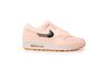 Купить Спортивные кроссовки Nike WMNS AIR MAX 1 PRM 454746-800 - оригинал, гарантия