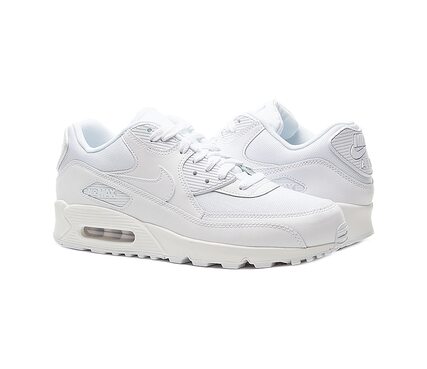 Кросівки Air Max 90 Essential Nike 537384-111