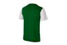Придбати Ігрова футбольна форма Nike VICTORY II JSY SS 588408-301 оригінал