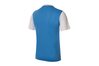 Купить Футболка  VICTORY II JSY SS Nike 588408-412 - оригинал, гарантия