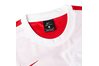 Купить Футболка  VICTORY II JSY SS Nike 588408-658 - оригинал, гарантия